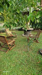 two chairs sitting in the grass under a tree at Luna Beach Hotel in Nilaveli