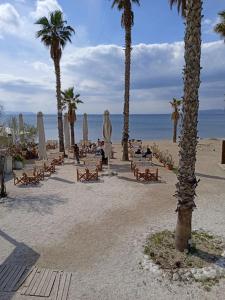 a beach with chairs and palm trees and the ocean at Eden Mare 6th Floor in Athens