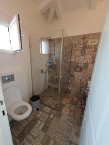 a bathroom with a shower and a toilet at היחידה ליד הנחל עם הנוף לחרמון 33 in Sede Neẖemya