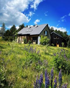 une maison au milieu d'un champ avec des fleurs violettes dans l'établissement Krasnogruda 7c, à Sejny