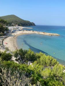 Une plage avec un tas de gens dans l'eau dans l'établissement Little garden, à Saint-Cyr-sur-Mer