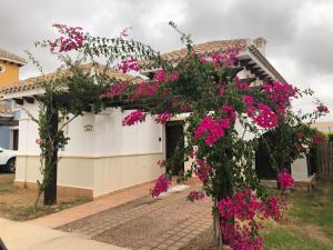 Zahrada ubytování Mar menor golf resort La villa castaño D Eric et Do