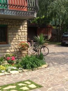 Jízda na kole v ubytování Villa Leilani B&B nebo okolí