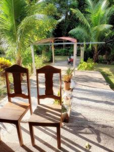 twee houten stoelen op een patio met palmbomen bij Villagracia HomeStay 