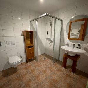 a bathroom with a toilet and a sink and a shower at Gut Schlafen - Am Kogl in Hypolz