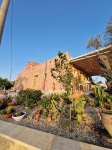 einem Garten mit Pflanzen vor einem Gebäude in der Unterkunft Arbor Exclusive in Ugento