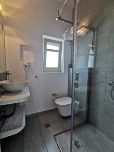 ein Bad mit einer Dusche, einem WC und einem Waschbecken in der Unterkunft Vorina Ktismata in Amorgós