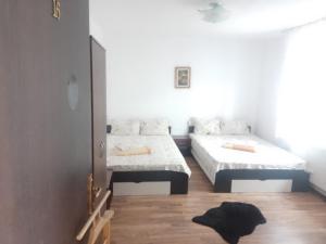 a bedroom with two beds and a mirror at Vila Popoiu in Costinesti