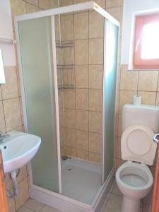 y baño con ducha, aseo y lavamanos. en Alpesi kulcsos ház, en Izvoru Mureşului