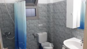 ein Bad mit einem WC und einem Waschbecken in der Unterkunft Sivota apartments Parthenia in Syvota