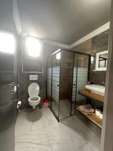 a bathroom with a toilet and a shower and a sink at Bytemur in Çamlıhemşin