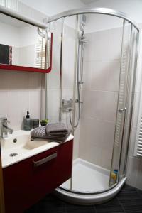 y baño con ducha y lavamanos. en Stunning new apartment in centre of Buzet en Buzet