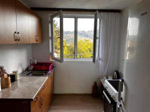 eine Küche mit einem Waschbecken und einem großen Fenster in der Unterkunft Apartment Ollie Tuzla in Tuzla