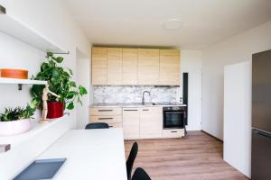 Kuchyň nebo kuchyňský kout v ubytování Apartmány Pěkná 10
