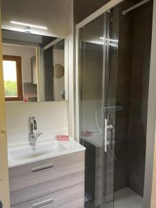 a bathroom with a sink and a glass shower at Très beau T1 refait à neuf in Les Gets