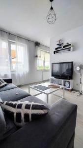 ジェシュフにあるApartament Black&Whiteのソファとテレビのあるリビングルーム