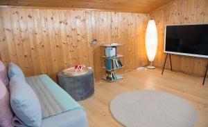 TV a/nebo společenská místnost v ubytování 5 room house Joch Churwalden- Lenzerheide