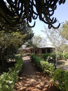 a dirt path in front of a house with trees at Mara Forest camp in Keekorok