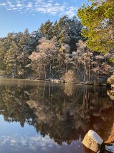 a body of water with trees in the background at Perfect for country lovers in Grantown on Spey