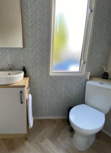 a bathroom with a toilet and a sink and a window at Perfect for country lovers in Grantown on Spey
