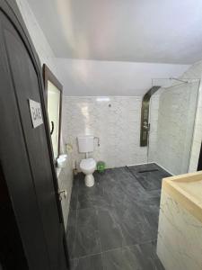 a bathroom with a toilet and a glass shower at Accommodation Casa Luca in Horezu +24 photos