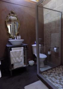 y baño con lavabo, aseo y espejo. en Jaloersplek / Victorian On Vaal, en Parys