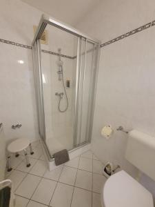 a white bathroom with a shower and a toilet at ABM Apartment Haus in Zwingenberg