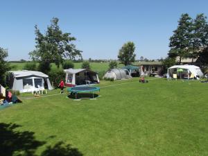 Un groupe de tentes dans un champ herbeux avec des gens qui y vivent dans l'établissement Tiny house Roodborstje, à Oudesluis