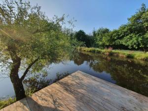 een rivier met een houten steiger en een boom bij Cabane en bois sur l'étang in Landisacq