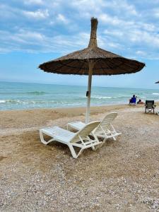 two chairs and an umbrella on a beach at Casa Analys in Douăzeci şi Trei August