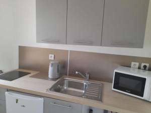 uma cozinha com um lavatório e um micro-ondas em appartement quai de la Fontaine em Nîmes