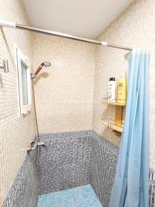 bagno con doccia con tenda blu di Apartamento El Rincón del Parque a Baena