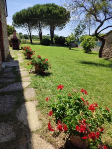einen Garten mit roten Blumen im Hof in der Unterkunft CASA INDIPENDENTE con giardino in Castiglione del Lago