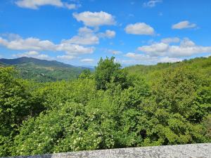 una vista desde la cima de una montaña con árboles en Hotel Rural Casa Migio, en Urbiés