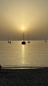 un gruppo di barche nell'oceano al tramonto di Isola Rossa Appartamenti Paduledda a Isola Rossa