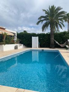 a large blue swimming pool with a palm tree at La Finca Blanca Javea in El Tosalet