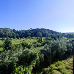 Foto dalla galleria di Da Luca e Simona a Camaiore