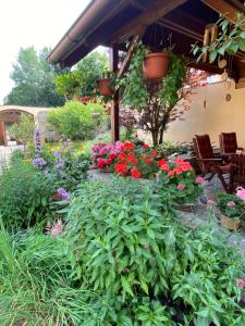 a garden with colorful flowers and plants at Apartmán U Jezírka in Nová Bystřice