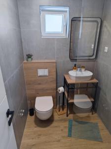 a bathroom with a sink and a toilet and a mirror at Apartmani Ante & Ivano Biograd in Biograd na Moru