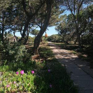 une personne se promenant sur un chemin planté d'arbres et de fleurs dans l'établissement Punta Negra holyday, à Stintino