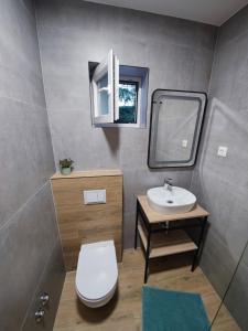 a bathroom with a toilet and a sink and a mirror at Apartmani Ante & Ivano Biograd in Biograd na Moru