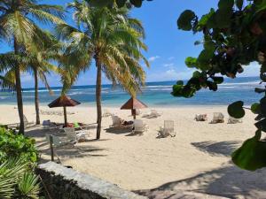 a beach with chairs and palm trees and the ocean at Studio avec vue mer exceptionnelle, plage et piscine, Village Vacances Sainte-Anne in Sainte-Anne