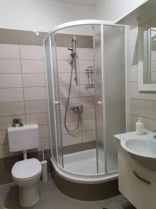 a bathroom with a shower and a toilet and a sink at Apartments Permida in Dramalj