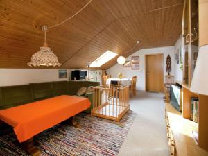 ein Wohnzimmer mit einem Sofa und einem TV in der Unterkunft Cosy apartment in Allg u with garden in Oy-Mittelberg