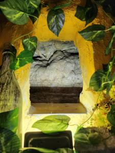 Fotografie z fotogalerie ubytování Casita zamudio v destinaci Setenil