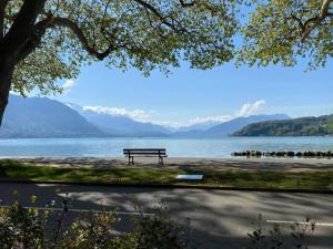 un banc assis à côté d'une masse d'eau dans l'établissement Woody 100m du lac balcon, à Annecy
