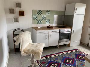 諾斯羅馳的住宿－Großzügiges Design Komfort-Appartement 60 qm，厨房配有白色冰箱和炉灶。