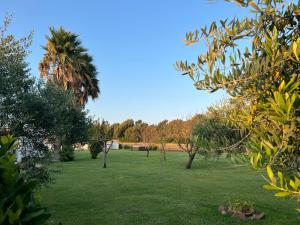 um jardim verde com árvores e um campo de relva em Podere Cala Viola em Porto Conte