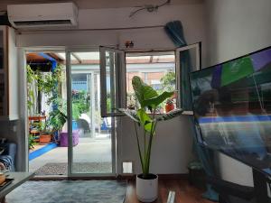 salon z telewizorem i rośliną w obiekcie Loft con jardin w Madrycie