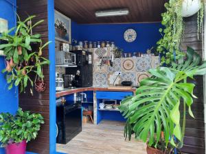 a kitchen with blue walls and a counter with plants at Loft con jardin in Madrid